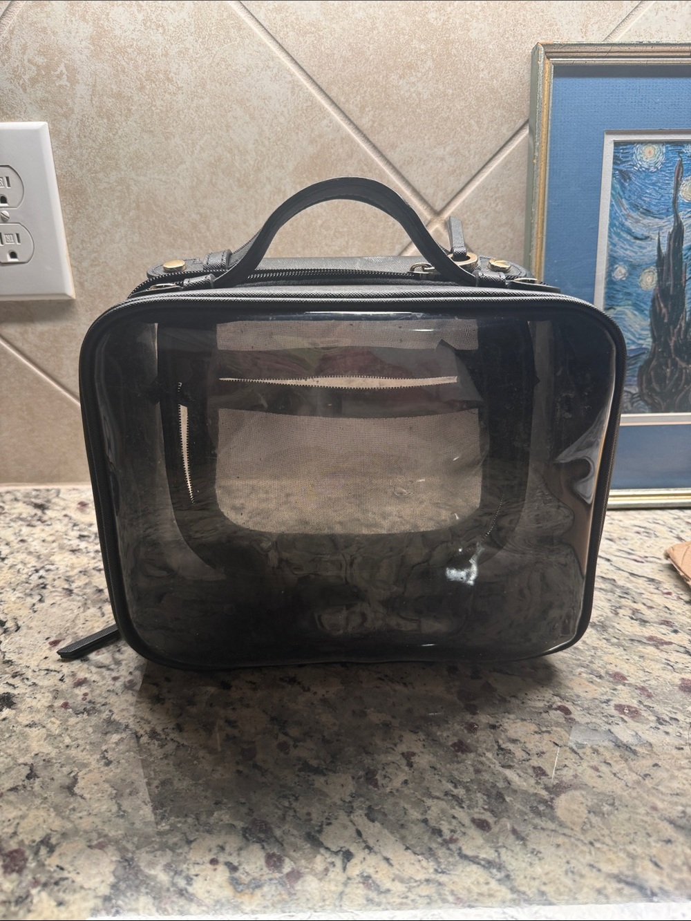 Calpak Clear Black Travel Cosmetic Case with Top Handle